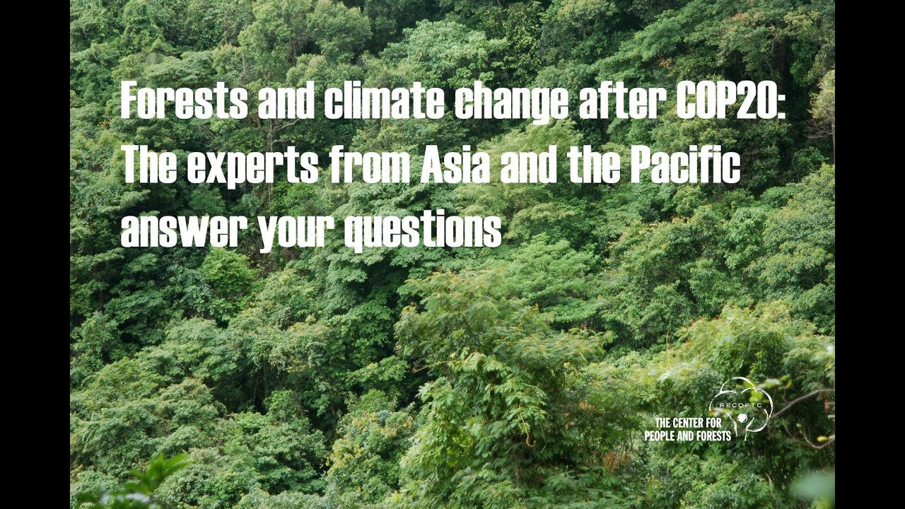 Forests and climate change after COP20