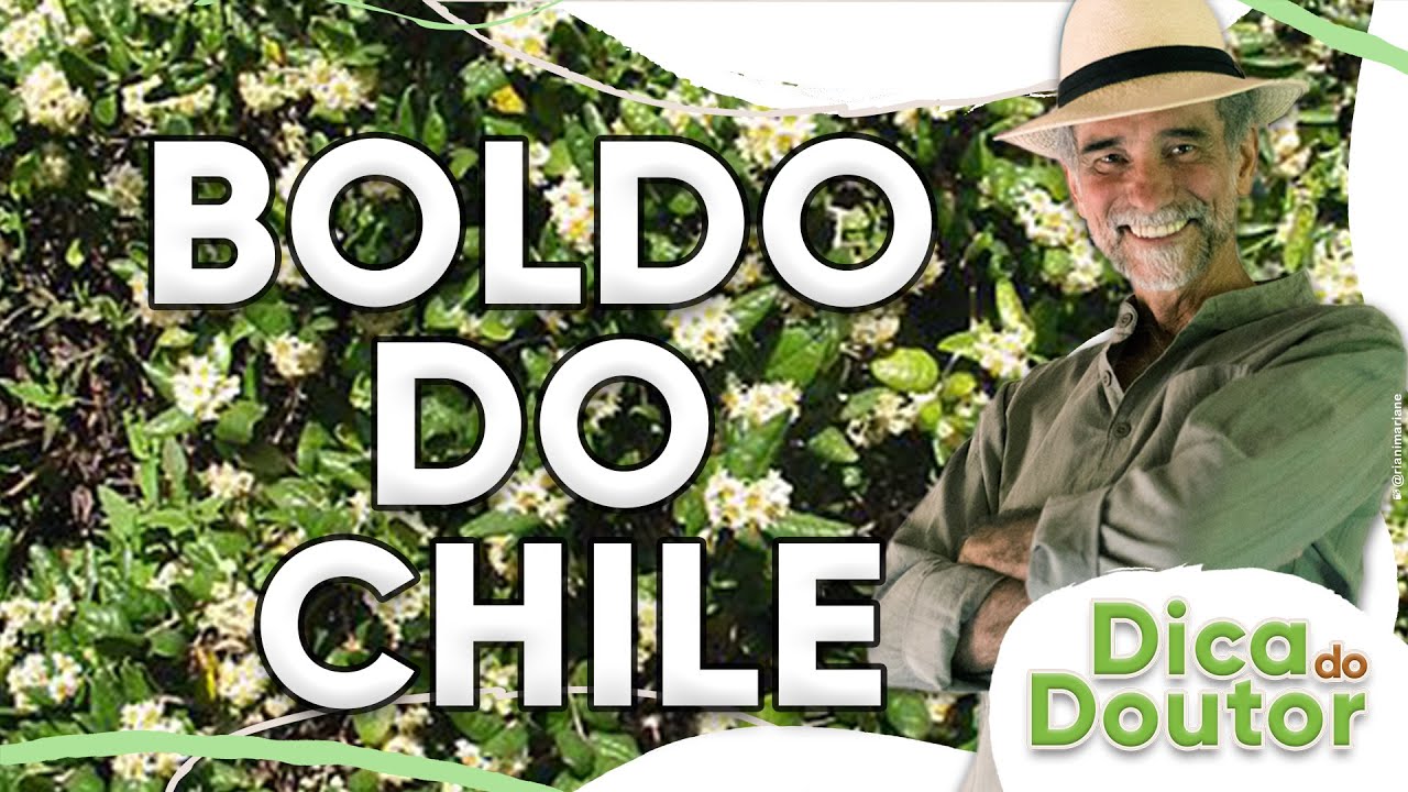 Dica do Doutor #134 - Boldo do Chile