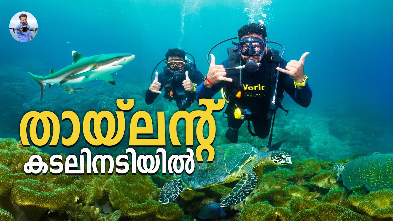 Life ൽ ഇത് ഒരിക്കലും MISS ആക്കരുത് - Scuba Diving | Phi Phi Island | Thailand !