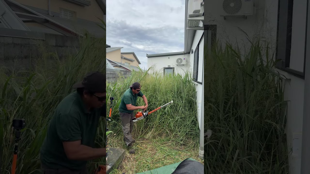 LIVE GREEN GARDEN 974 est en direct !