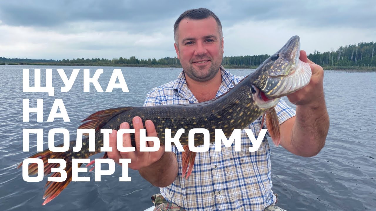 ЛОВЛЯ ЩУКИ В ЗАКОРЯЖЕНИХ ТОРФЯНИКАХ! Щука виходить на глибину!