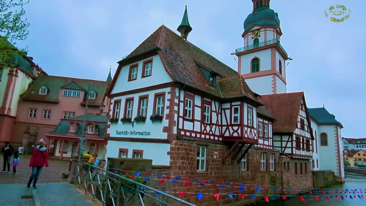 Mumzi - im Odenwald auf den Spuren  seines Papas Wurzeln.  Heute Kreisstadt Erbach im Odenwald.