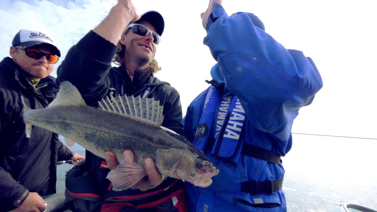 Les meilleurs techniques de pêche! Pêcher plus de 100 dorés par jours sur le Lac Saint-Pierre