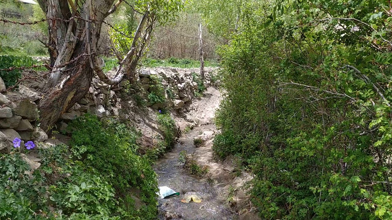 Hango village kinnaur