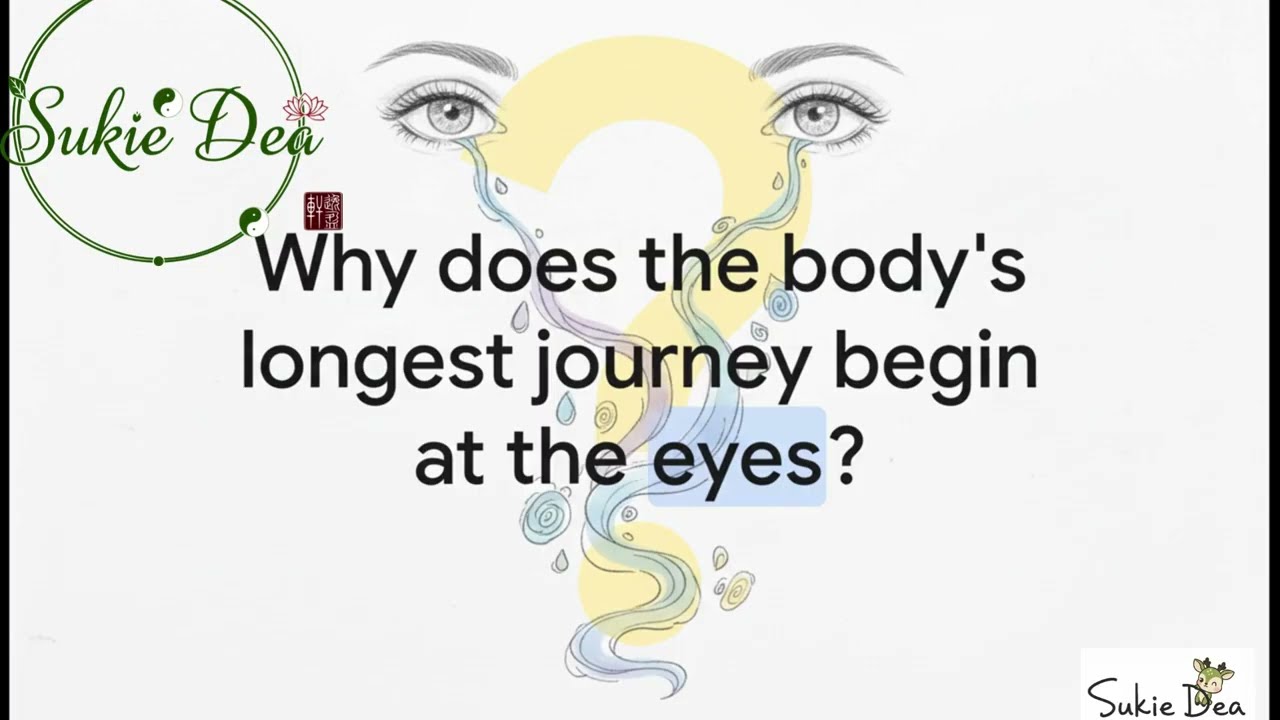 Why Your Back Remembers Your Fears: A Deep Dive into the Bladder Meridian