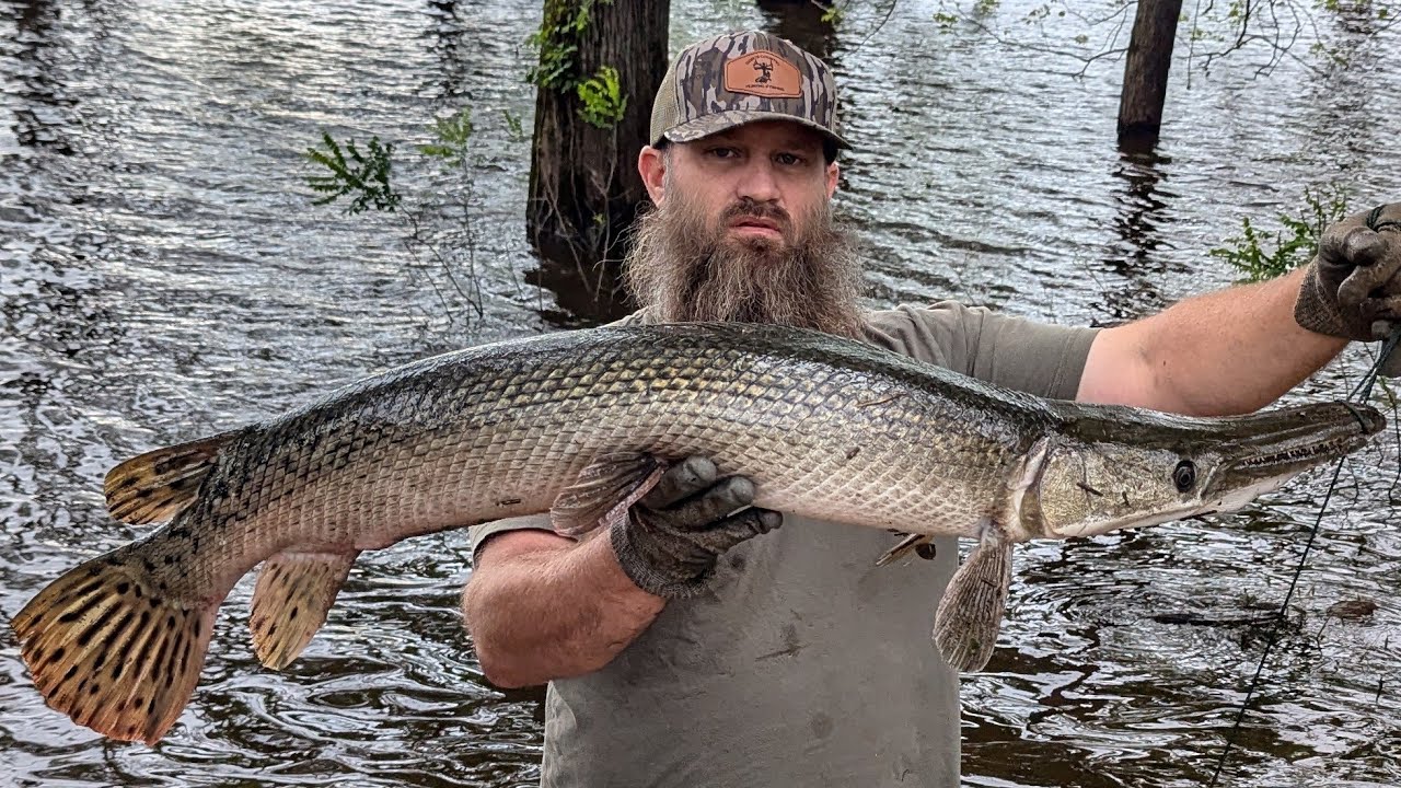 Fishing LIMB LINES For UNBELIEVABLE Food!! Flathead Catfish & Alligator Gar (Catch*Clean*Cook)