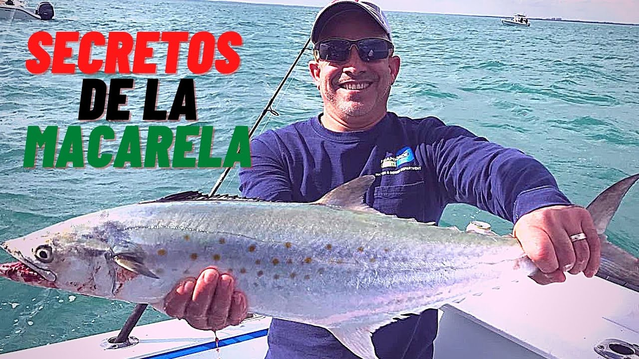 Como Preparar Un Lider Para La Pesca De La Macarela y Serruchos