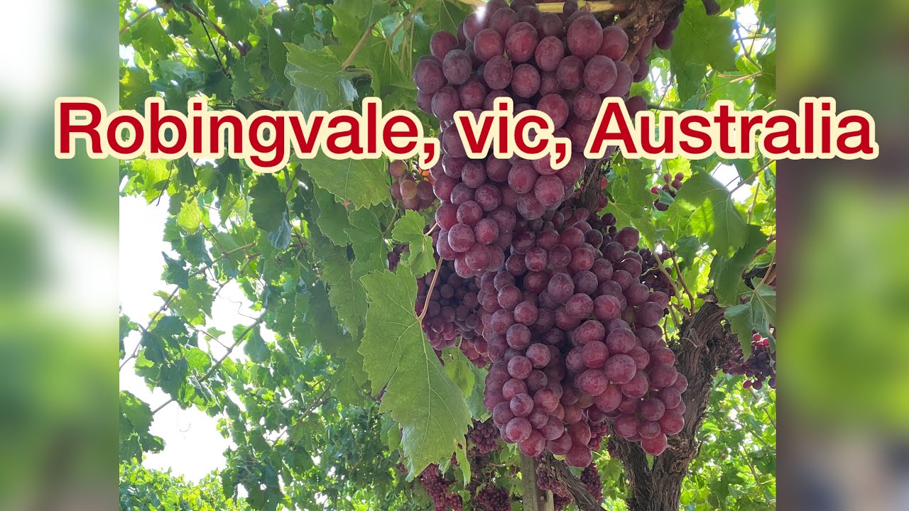 Robingvale, vic, Australia 