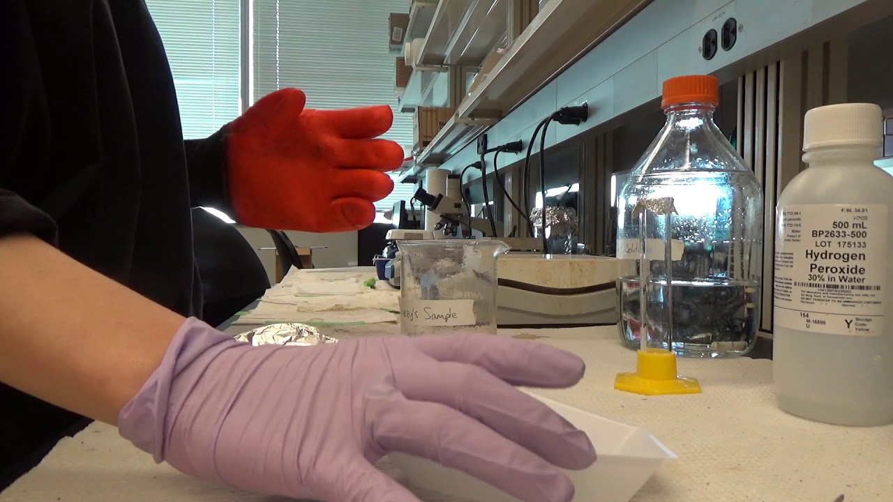 Microplastic Processing Protocol