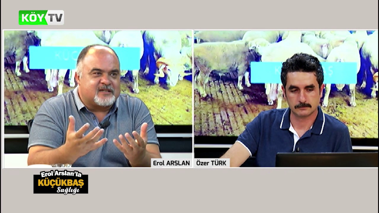 Erol ARSLAN'la Küçükbaş Sağlığı  |  100 Başlık Bir İşletmenin Maliyeti