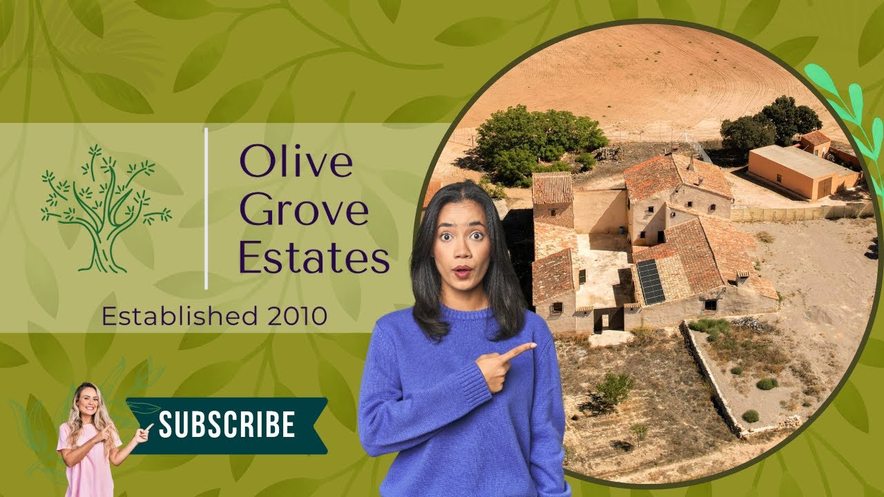 Olive Grove Estates - Charming 18th Century La Mancha Finca - Almansa