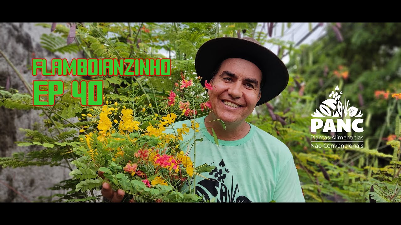 EPISÓDIO 40 - FLAMBOIANZINHO | #pancnaveia #valdelykinupp