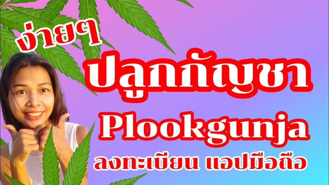 วิธีลงทะเบียนปลูกกัญชา ผ่านแอปปลูกกัญชา Plookgunja
