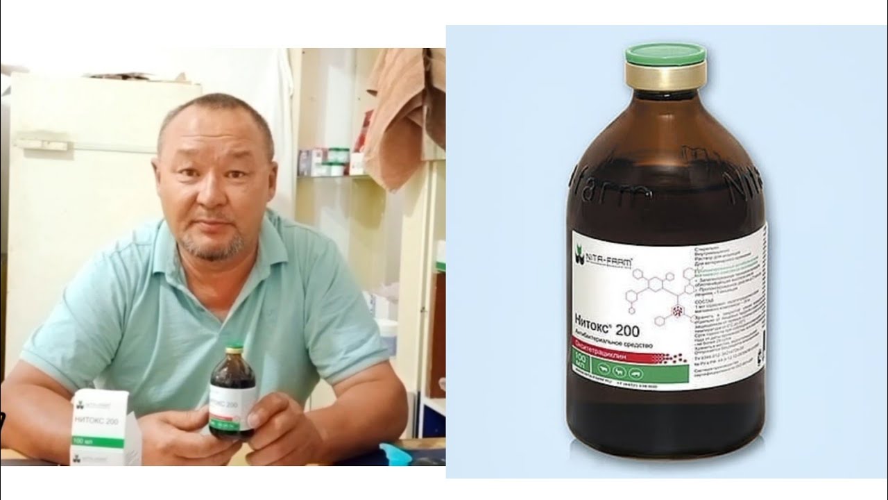 НИТОКСТЫҢ ПАЙДАСЫ мен ЗИЯНЫ!