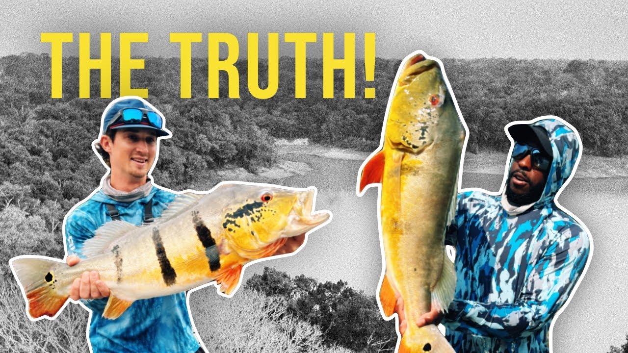 The Truth About Fishing In The Amazon (Record Drought)