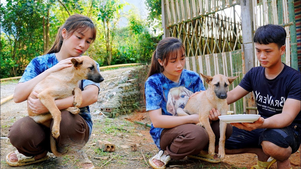 Huong and Binh take care of sick dog Lu - starting a new life on the farm