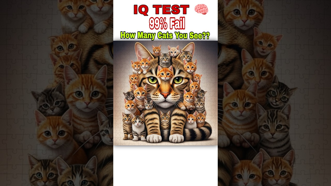 🔴 IQ TEST 🧠🫡 99% Wrong ❌🤯 | How Many Cats You See??🤷🏻&zwj;♂️🤔 Best Of Luck 🤞🏻🤗