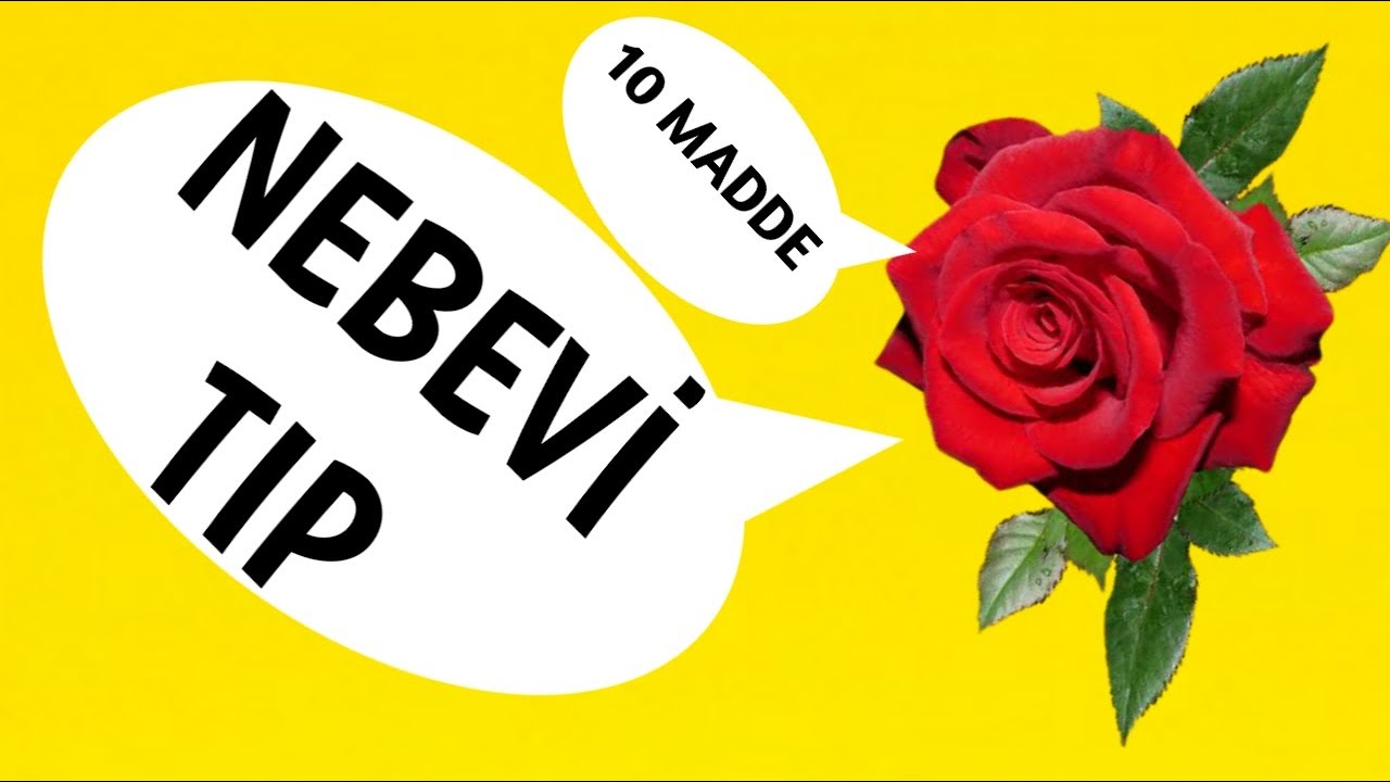 10 MADDEDE NEBEVİ TIP NEDİR  (Tıbbı Nebevi Beslenme Eğitimi) #tıbbınebevi #nebevitıp