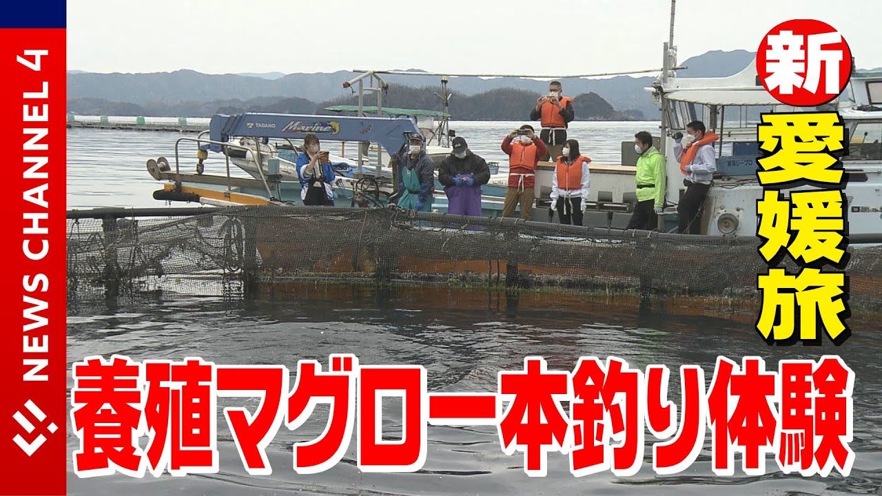 宇和島養殖マグロ一本釣り体験＜NEWS CH.4＞