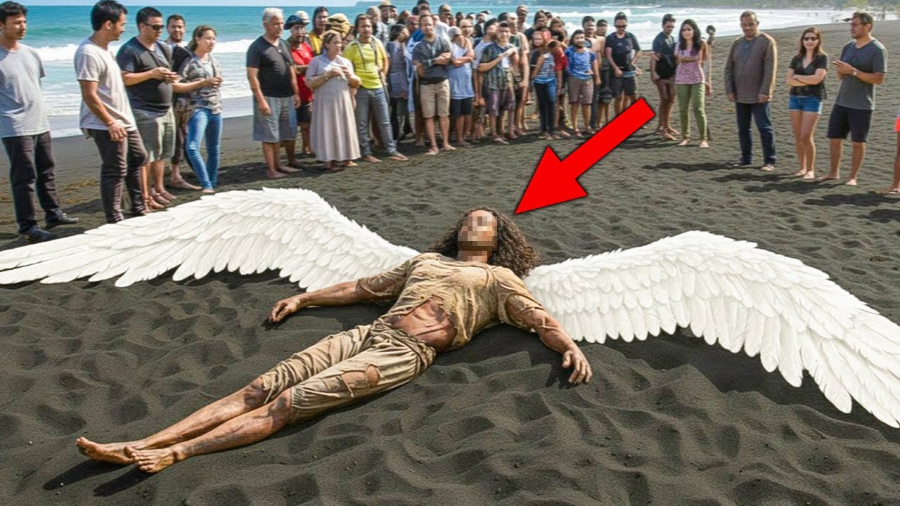 Mysterious Things That Fell From The Sky!