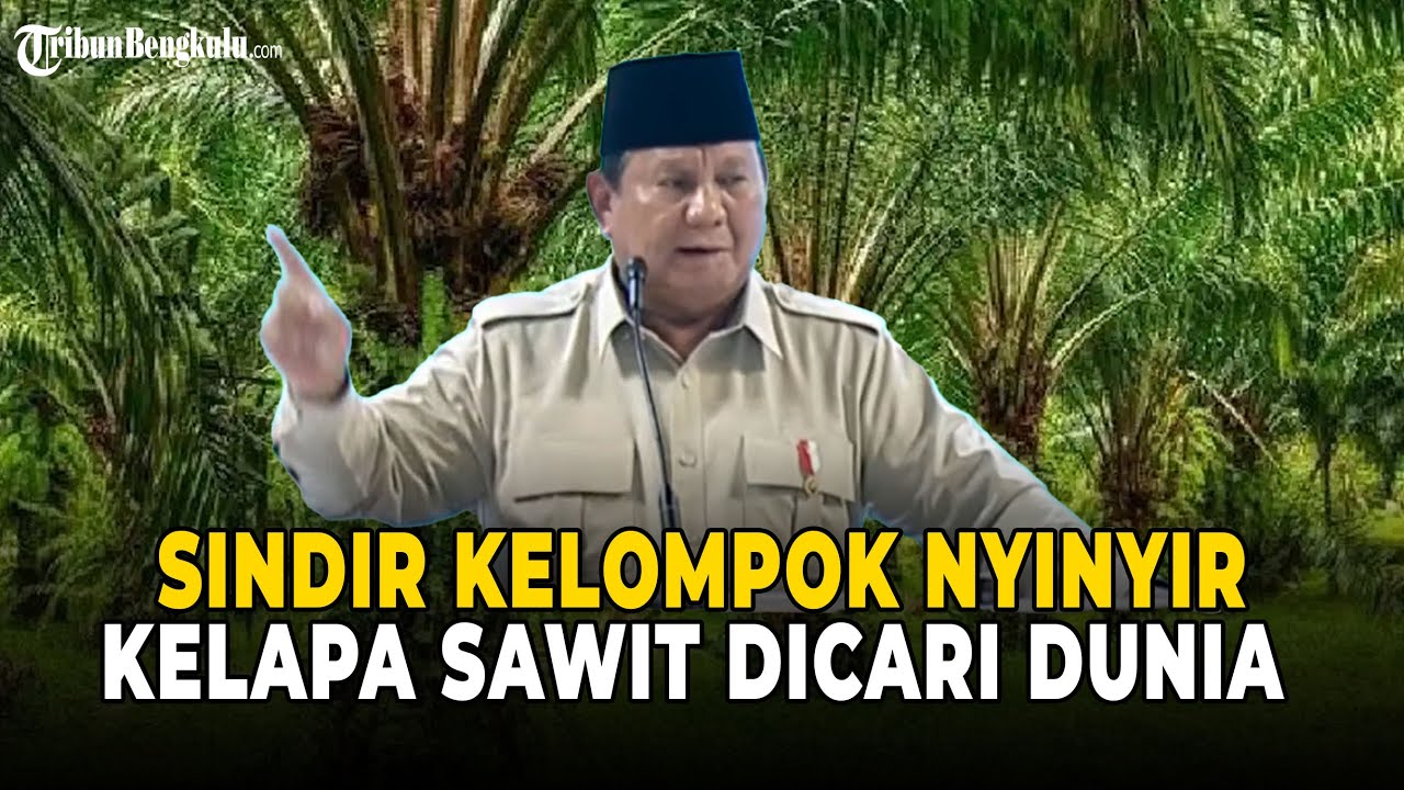Kelapa Sawit Dicari Seluruh Dunia, Prabowo Sindir Kelompok Nyinyir: Untuk Rakyat Indonesia!