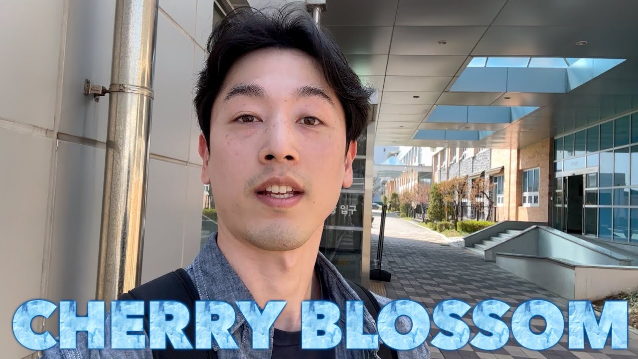 Where to watch Cherry Blossom in Korea?