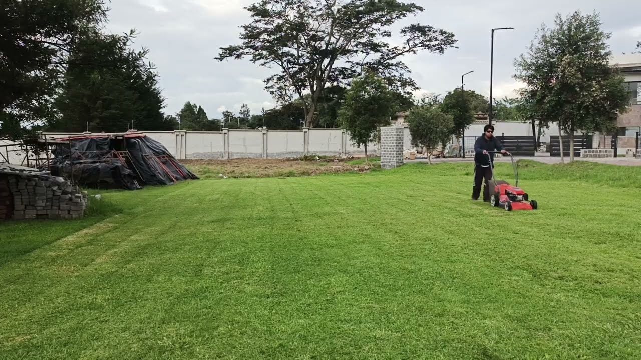 Lawn care day