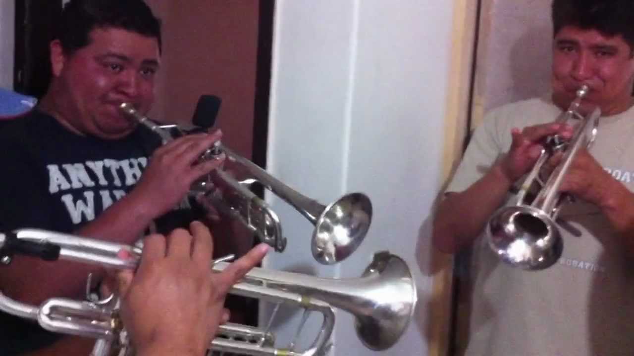 Mariachi Fiesta De Mexico - Popurri De Sones