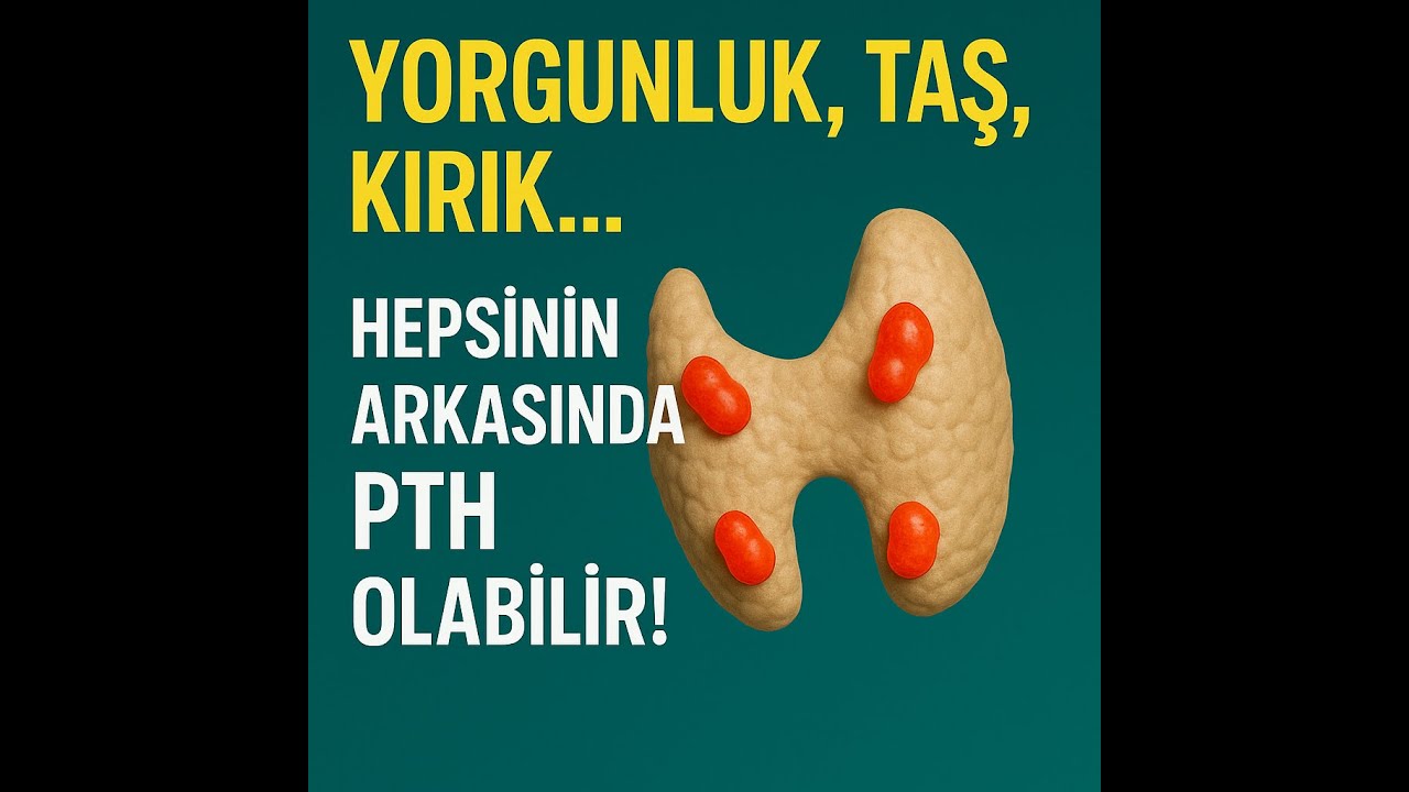 Yorgunluk, Taş, Kırık… Hepsinin Arkasında Parathormon Olabilir!
