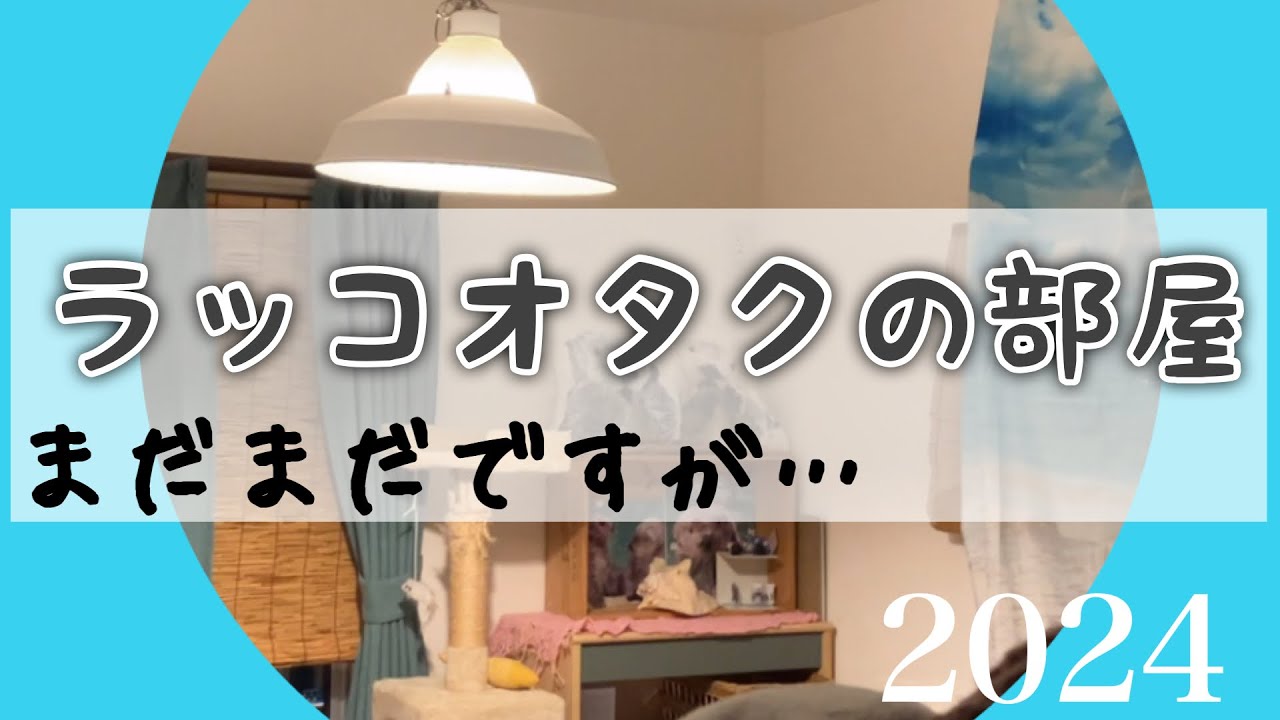 ラッコだいすき🦦メイちゃん、キラちゃん、リロくん｜マリン風インテリア｜私のラッコレクション