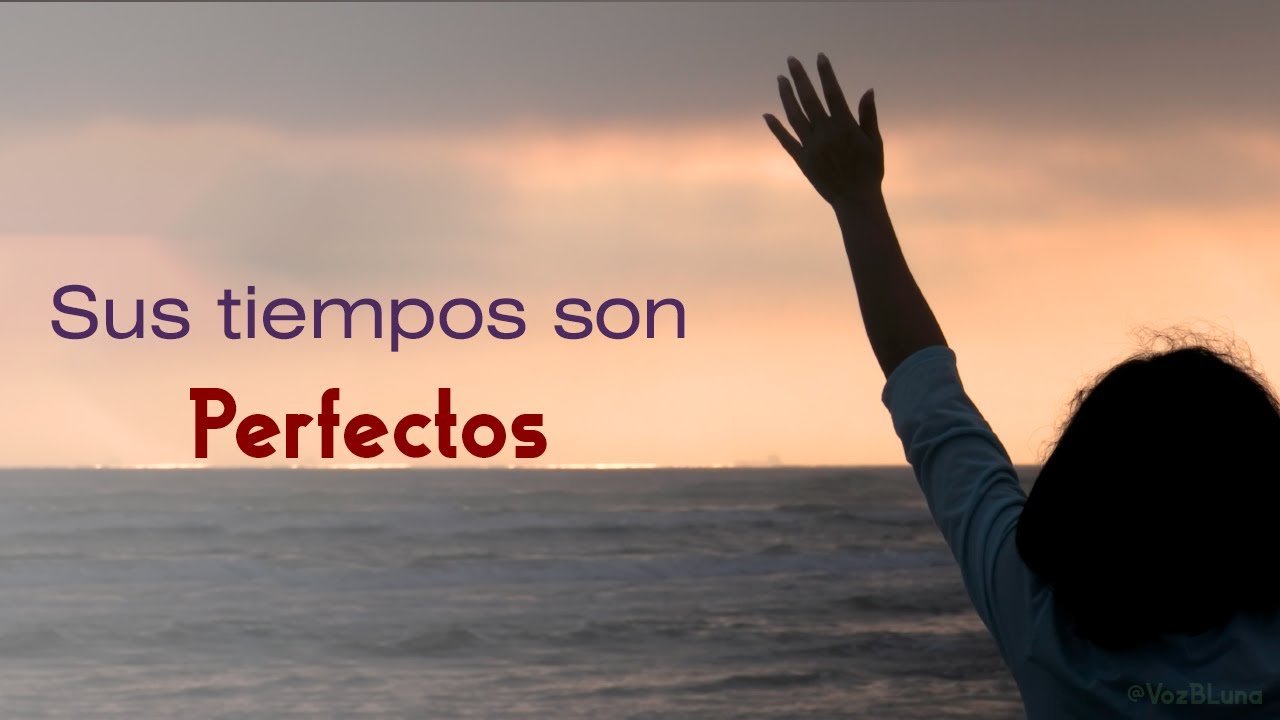 Tu eres importante para Dios - Reflexi&oacute;n