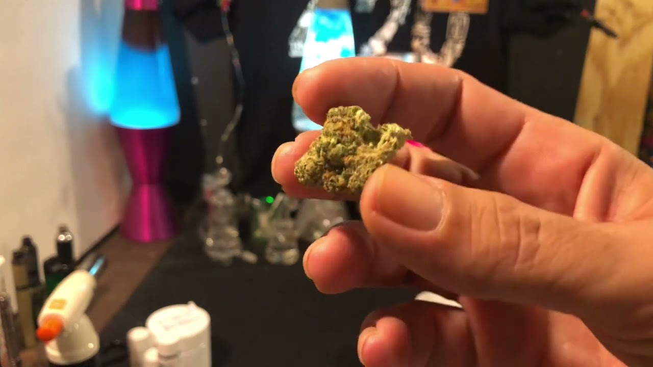 Curaleaf Ice cream haze Flower Review & Talking about price 🙌✌🏻#mmj #curaleaf