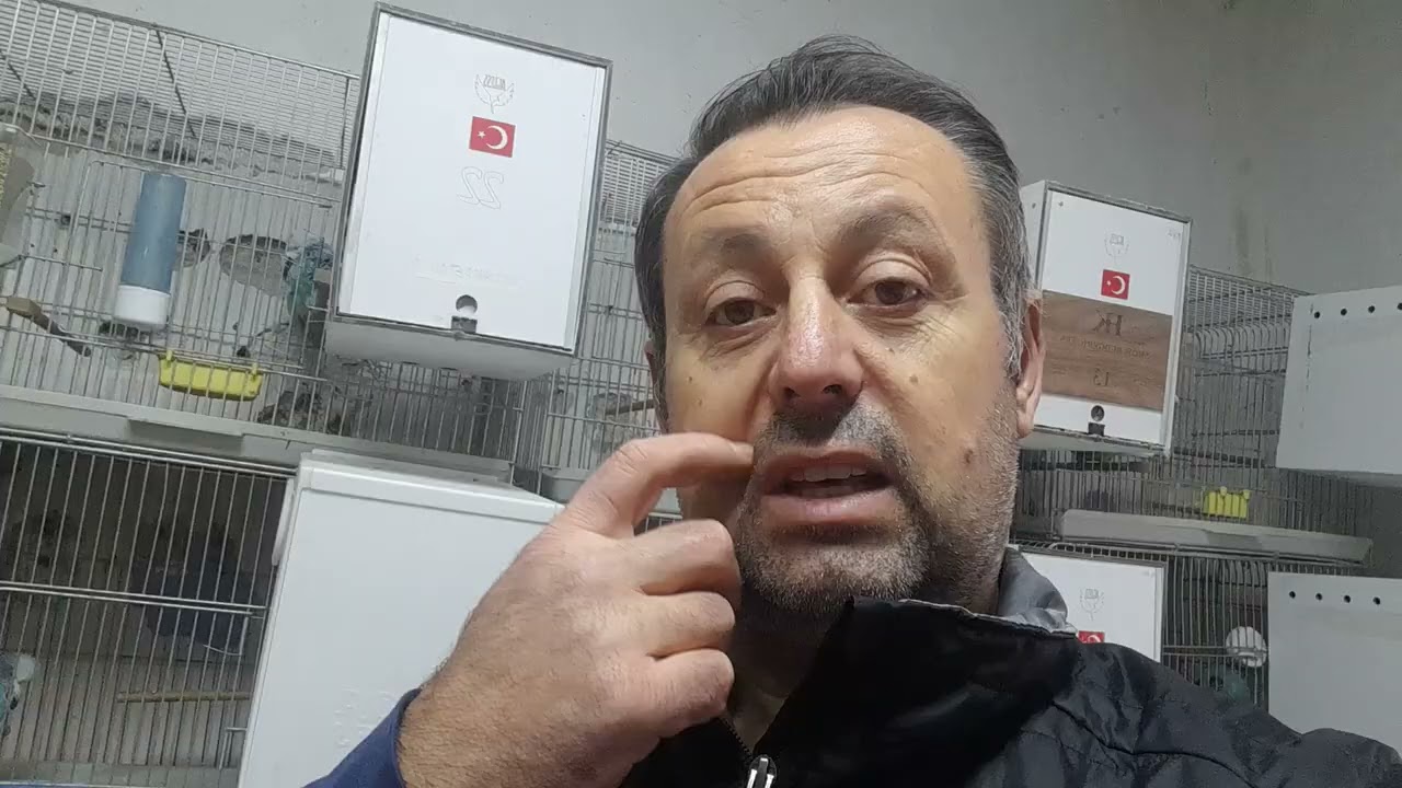 Mama videosu ve genel durum