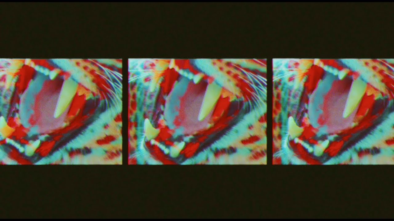 Like Animals - Cienfue