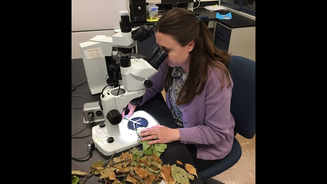 S4E12: Identifying Crop Disease with the Plant Disease Clinic
