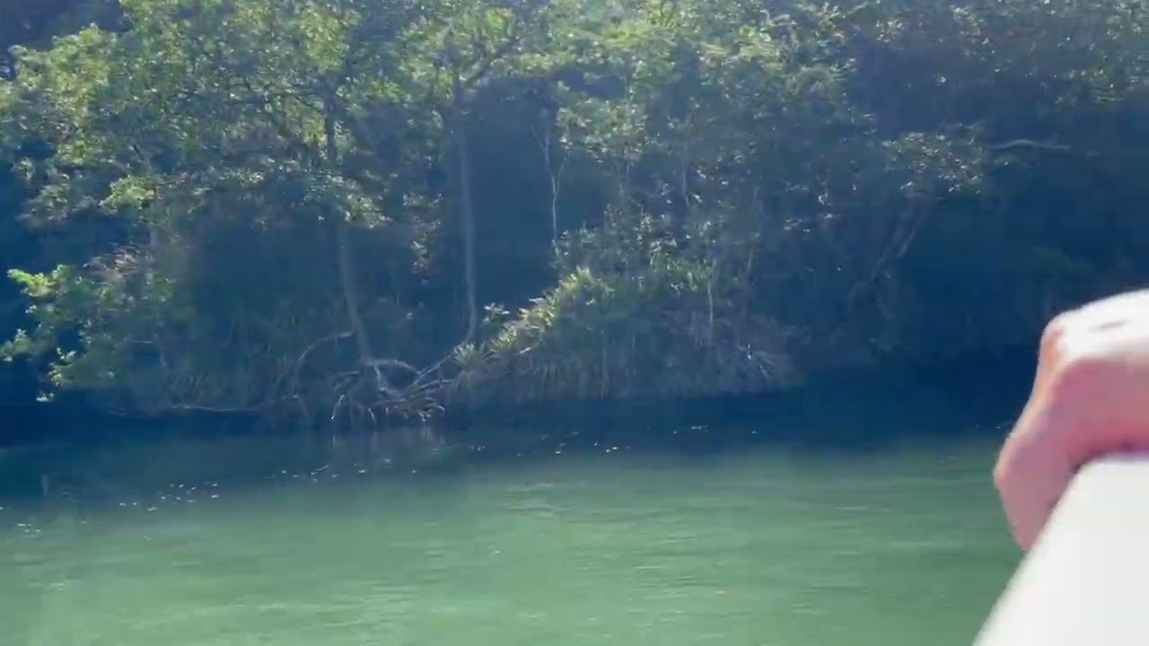 Dominican Republic 2026 Part 4 - Los Haitises National Park