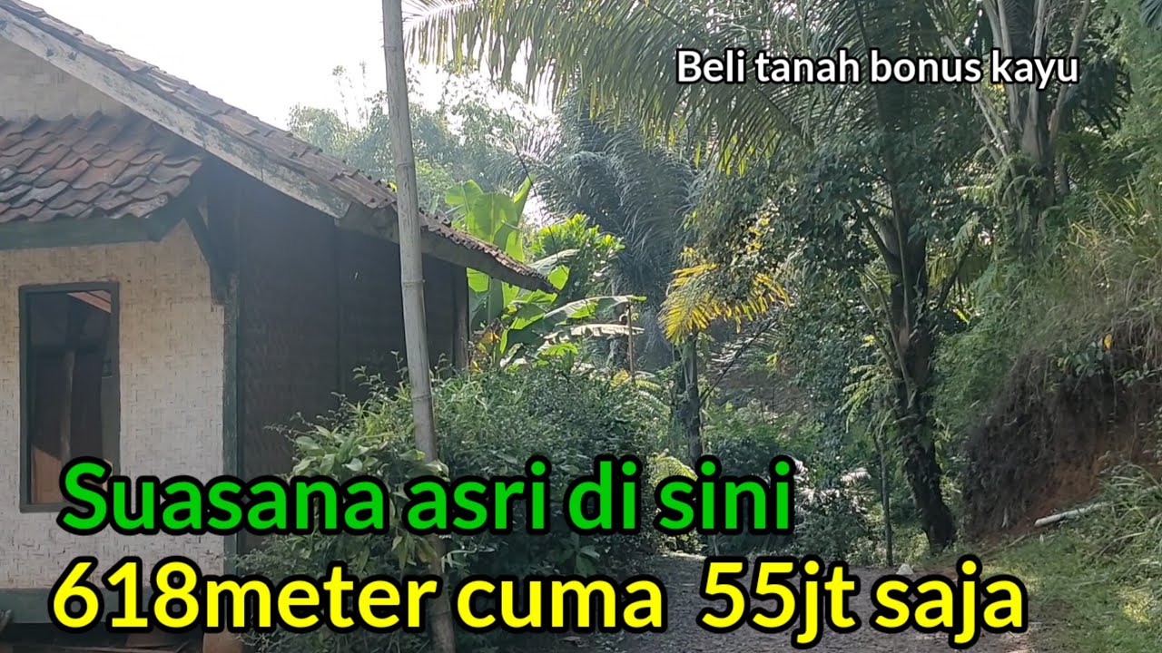 Suasana asri di kampung ini‼️Ada Tanah akan di jual 55jt untuk tanah 618meter