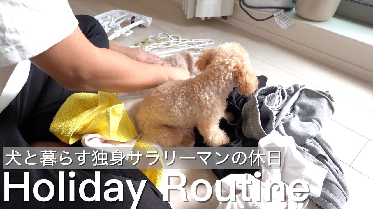 【休日ルーティン】犬と暮らす一人暮らし社会人男の休日