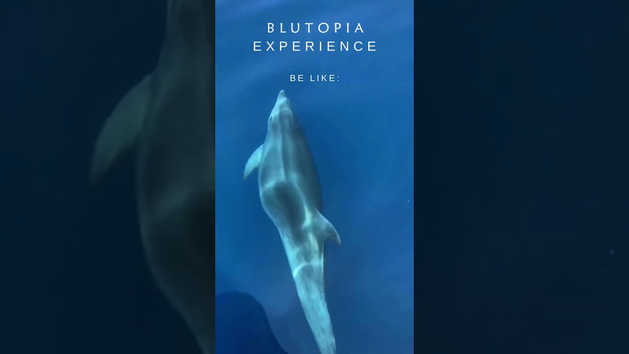 Blutopia Experience be like