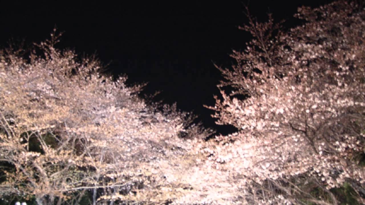Sakura Choeur à 4 voix arr par Makiko YAMAGUCHI