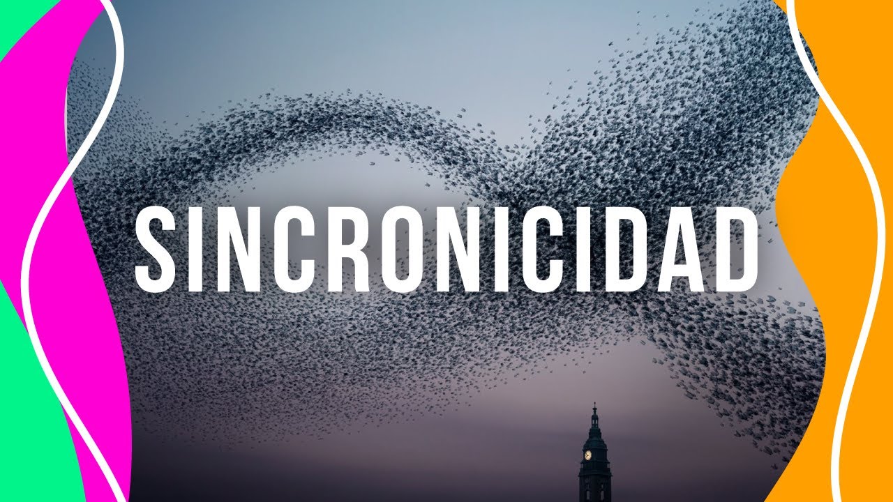 ¿Qué es la SINCRONICIDAD? ¿Y la casualidad? 🟠🟢🟣 Jung para todos | Psic. Gabriela Milatich