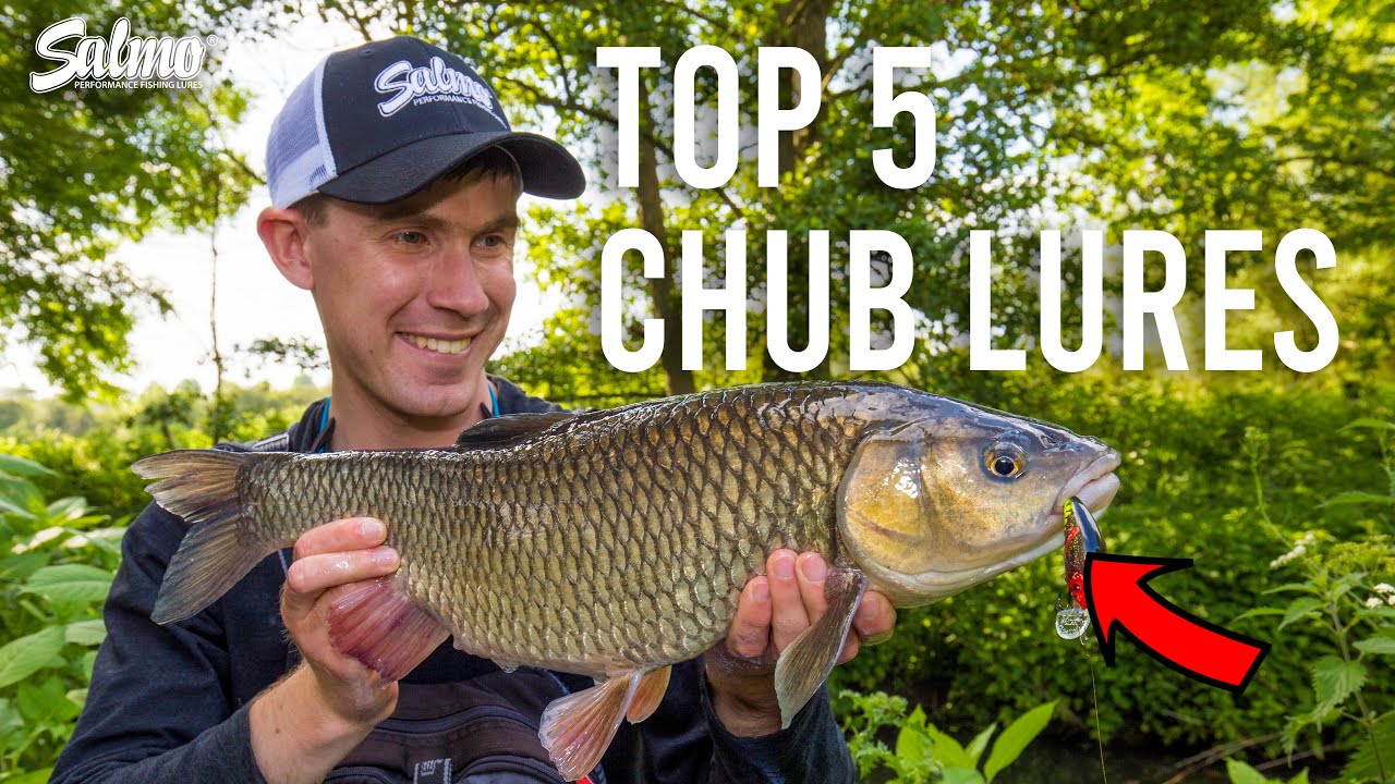 Your top 5 Salmo lures for catching chub
