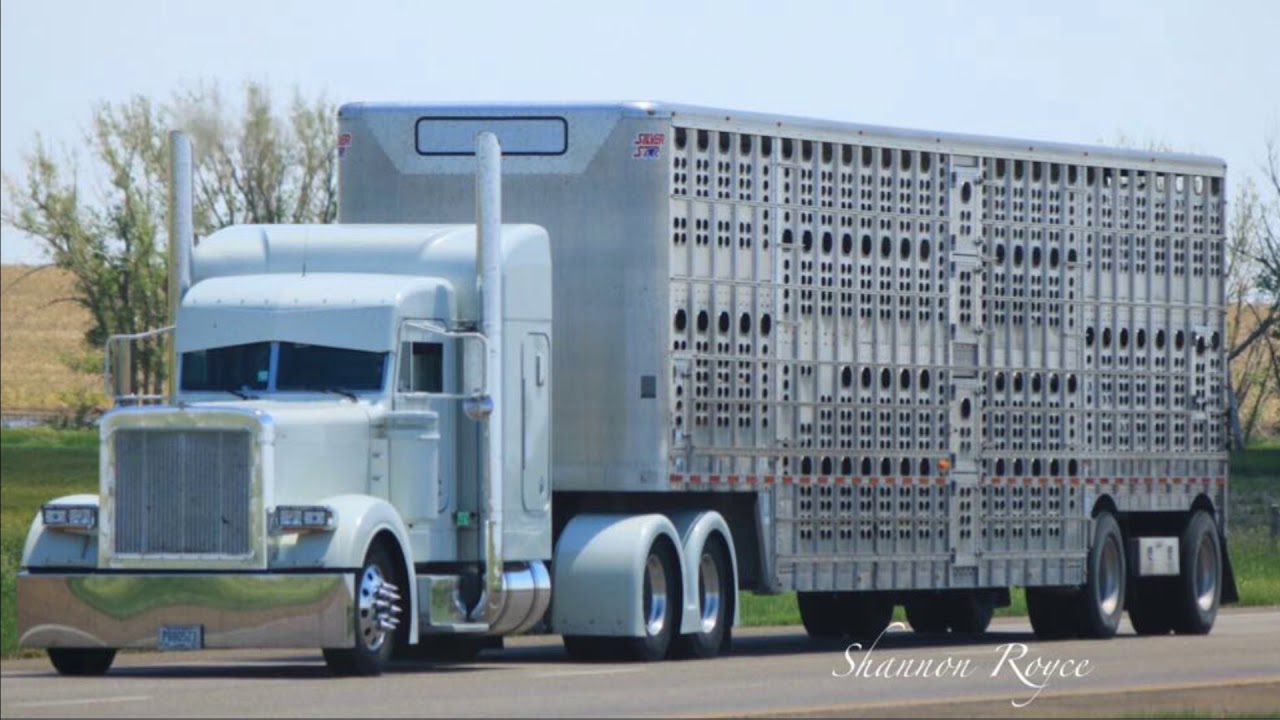 BULL HAULER LEFT LANE ©