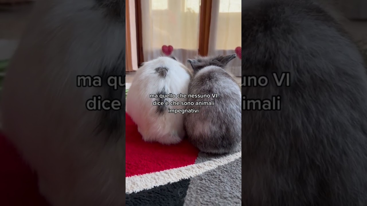Belli ma.. impegnativi! 