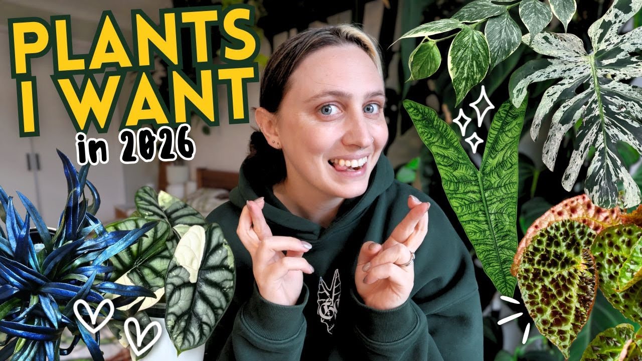 I Shouldn’t Be Allowed a Plant Wishlist in 2026 🪴 (But Here It Is)