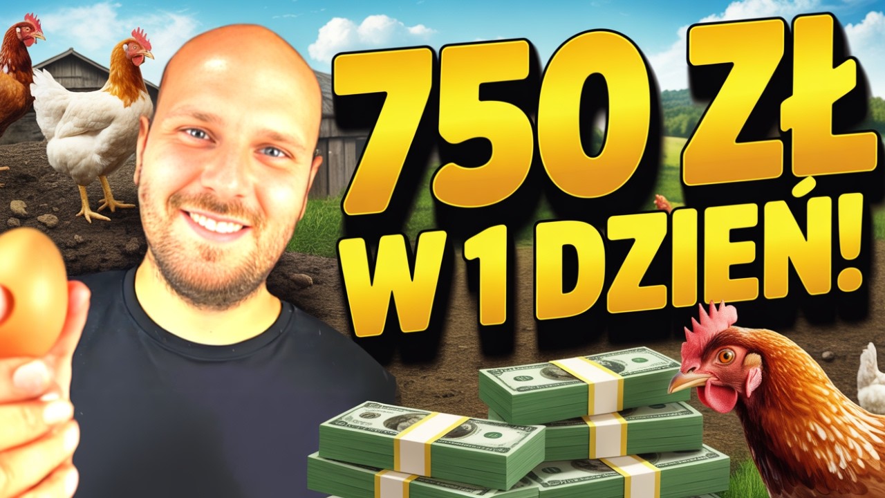 Zamówienie 500 jajek – ile można zarobić w jeden dzień?