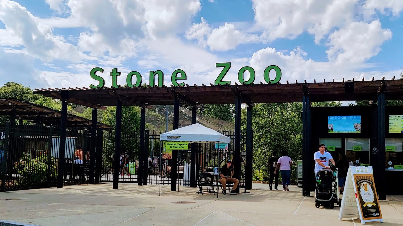 Stone Zoo walk through, Stoneham Ma. August 12, 2023 #animals #zoo