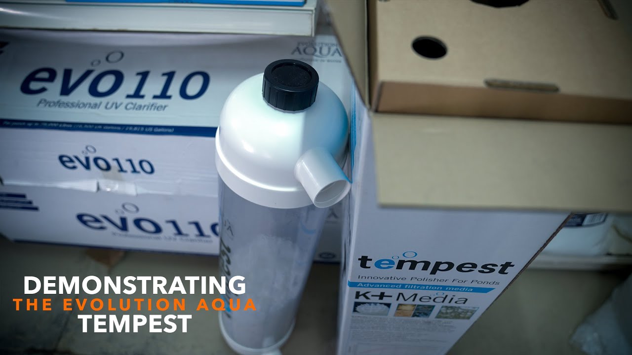 The Tempest Filter From Evolution Aqua | Perfect Aquatics Ltd