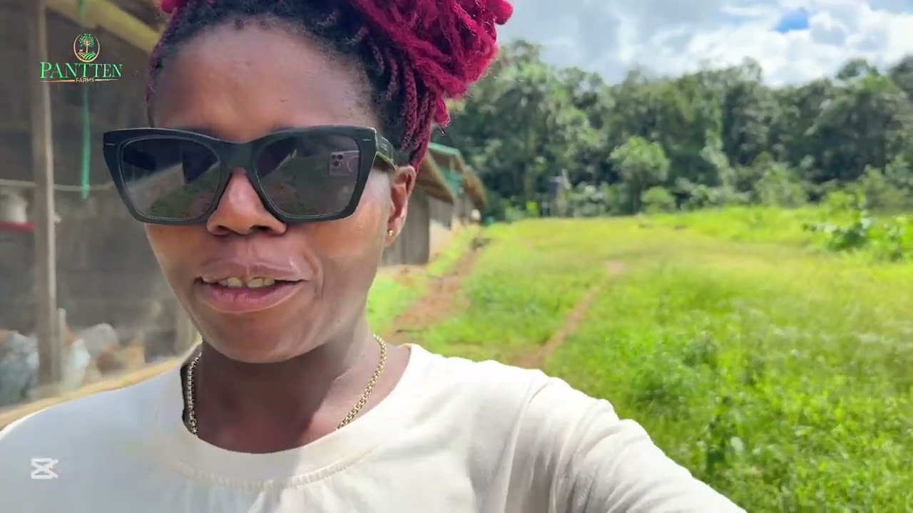 Touring My Layer Chicken Farm in Liberia West Africa | Inside Pantten Farms | Farm Vlog