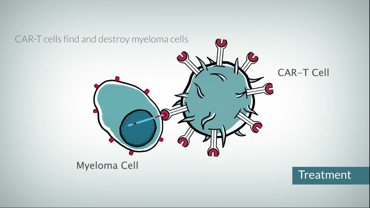 How does CAR T cell therapy work?